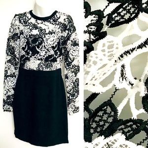 DAILY DEAL! NWT $218 ROMEO & JULIET COUTURE Chic Black and White Lace DRESS S